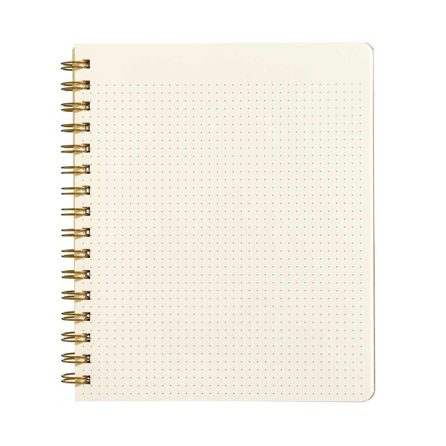 Standard Notebook - Mint