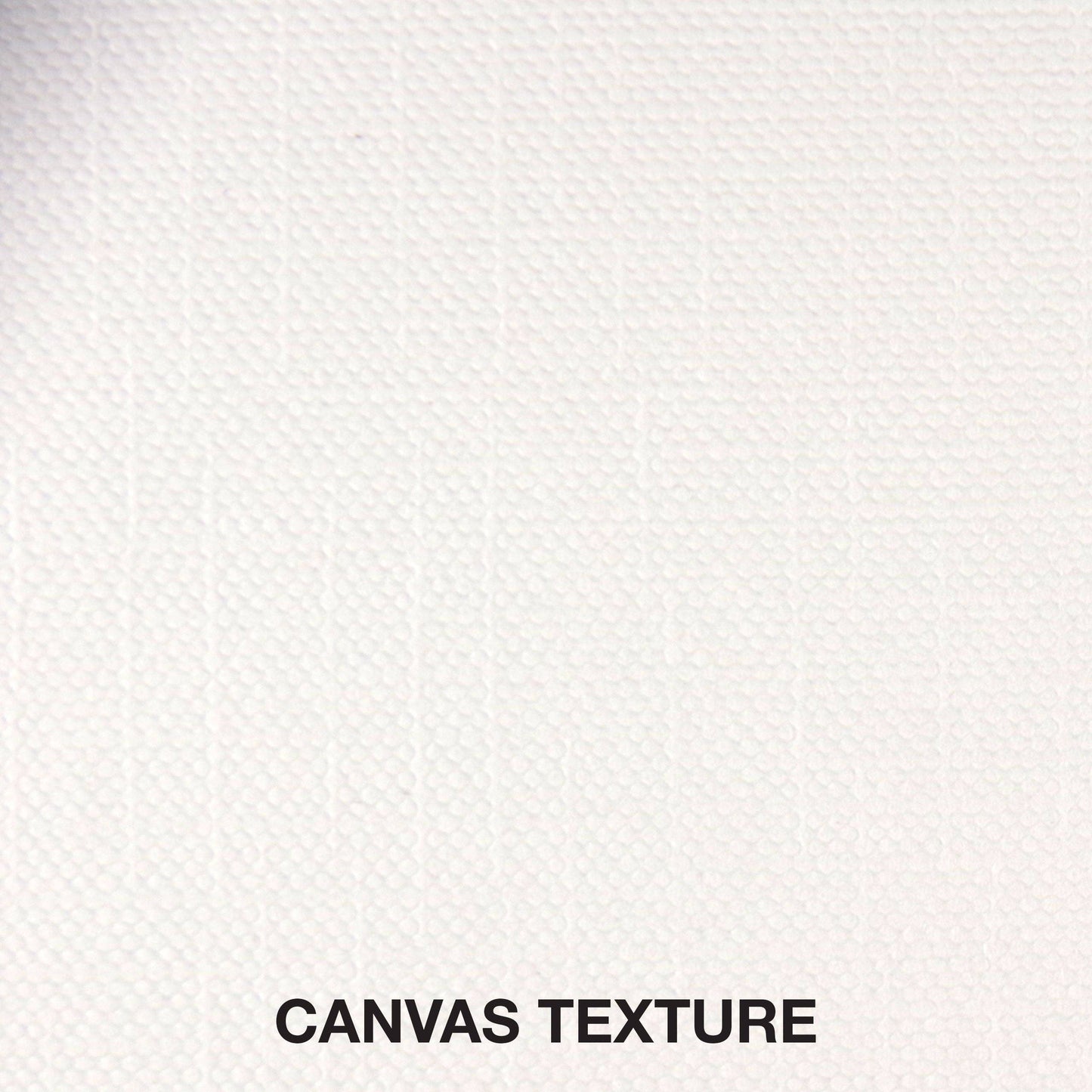 Studio Series Canvas Paper Pad (10 sheets)
