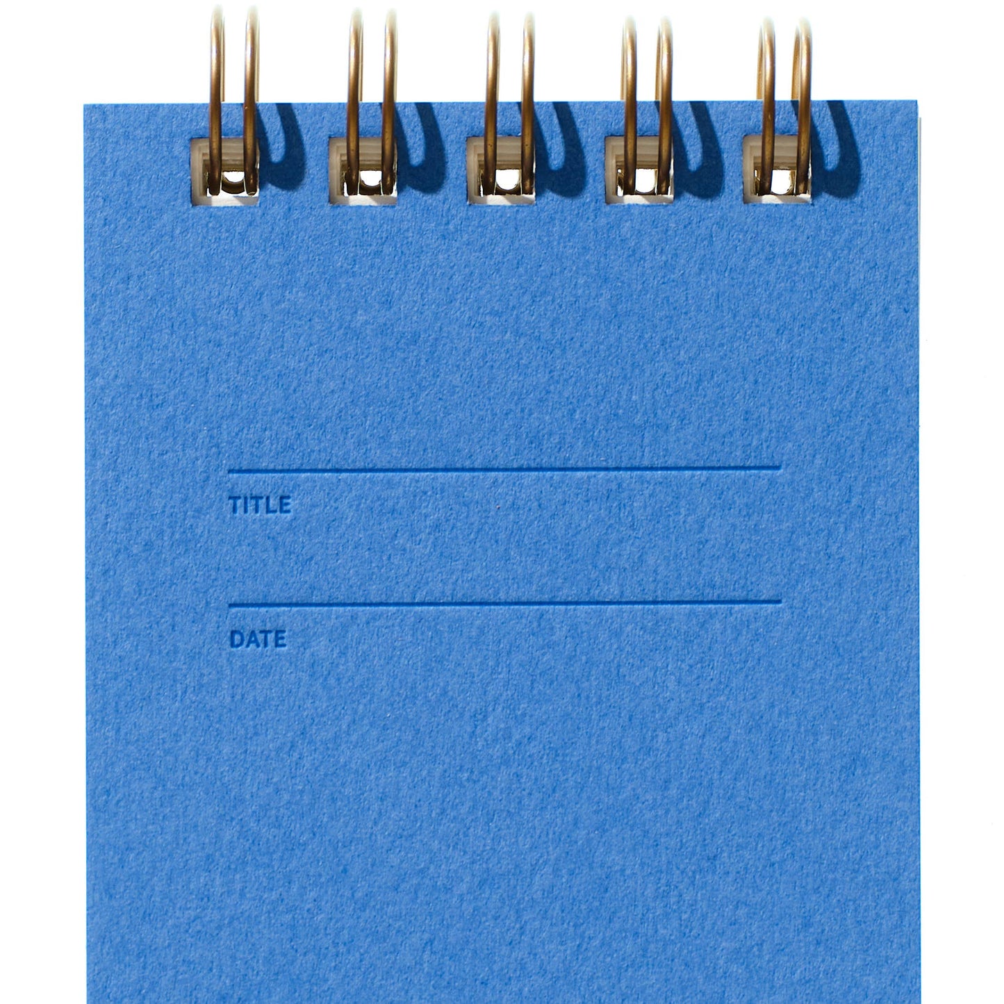 Reporter Notebook - Ocean