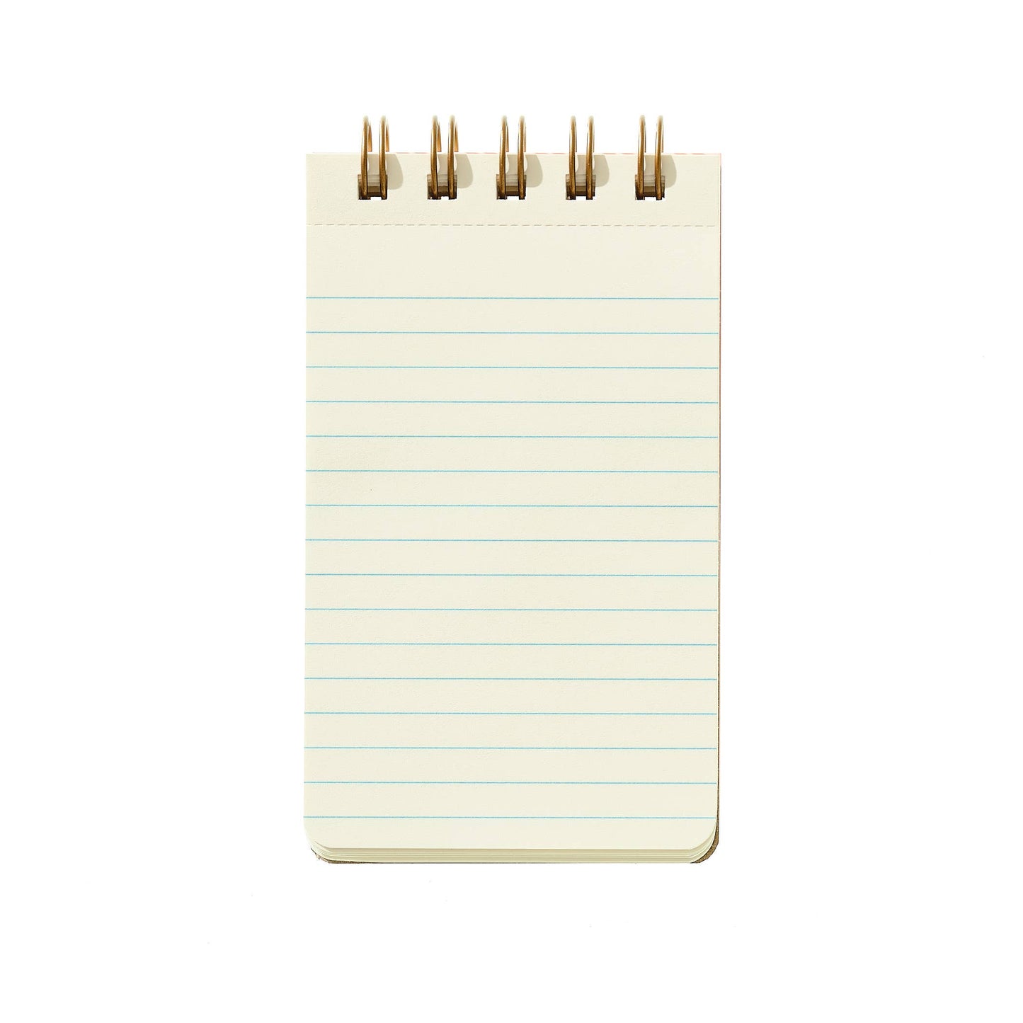 Reporter Notebook - Spruce